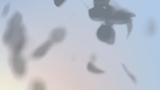 Course (Every Tuesday Evening): Meditation for Spiritual Wellness