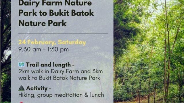 DAYWA Mindful Hike