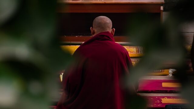 Meditation at Buddhist Library