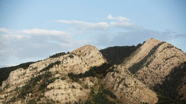 Cheng Beng Memorial Service 清明法会 2025