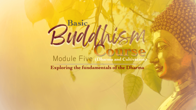 Basic Buddhism Course (Dharma and Cultivation) Module Five