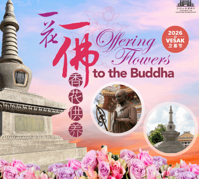 一花一佛 Offering Flowers to the Buddha