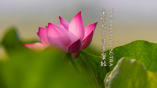 The Diamond Sūtra (金刚般若波罗蜜经)