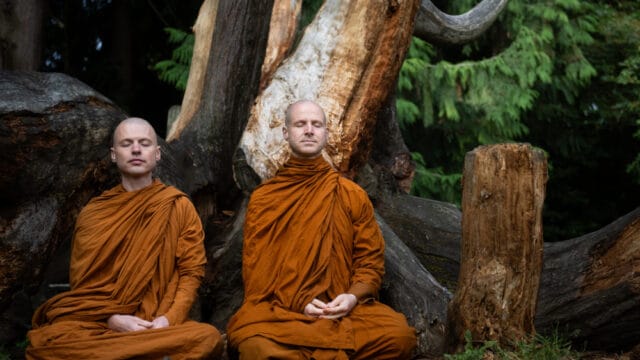 Group Meditation via Zoom with Clear Mountain Monastery