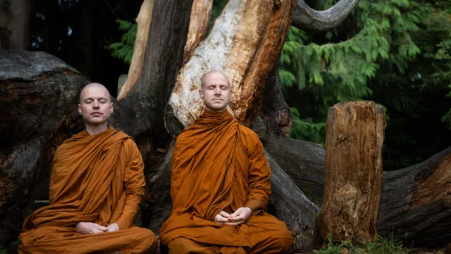 Group Meditation via Zoom with Clear Mountain Monastery